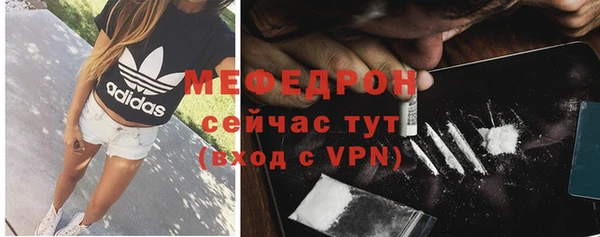 стафф Касимов