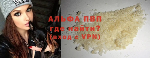 стафф Касимов