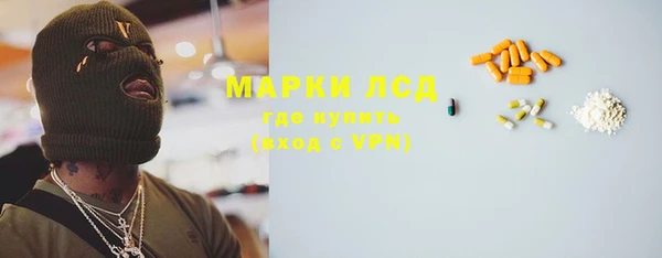 стафф Касимов