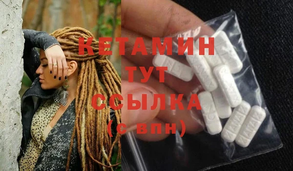 стафф Касимов