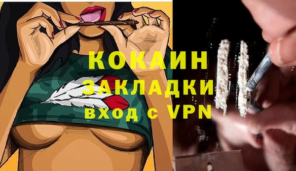стафф Касимов