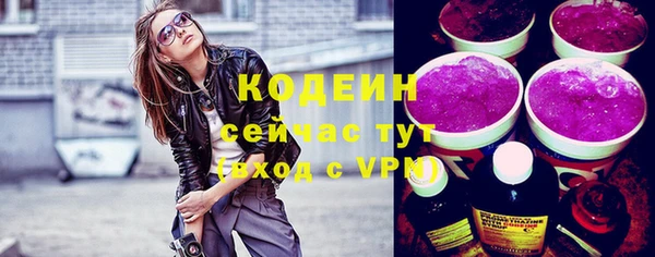 хмурый Карпинск