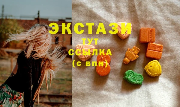 стафф Касимов