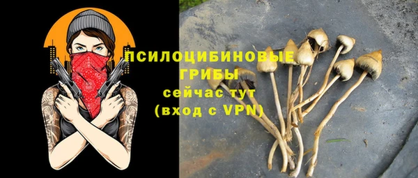 хмурый Карпинск