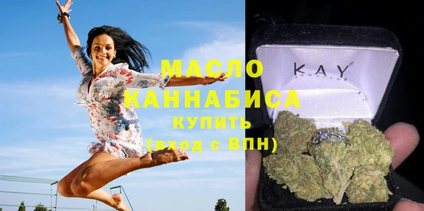 стафф Касимов