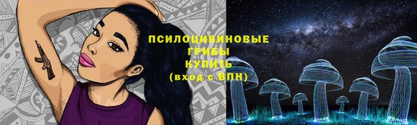 стафф Касимов
