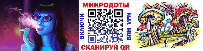 Псилоцибиновые грибы мицелий  купить наркоту  Кондрово 